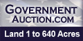 Government Auction