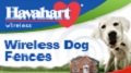 Havahart Wireless