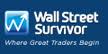 Wall Street Survivor